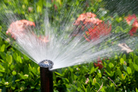 grass sprinkler