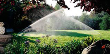 sprinkler fixture