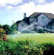 grass sprinkler