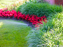 grass sprinkler