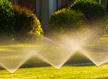 grass sprinkler