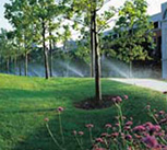 garden sprinkler